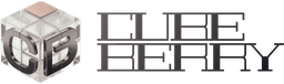 Cubeberry Inc.